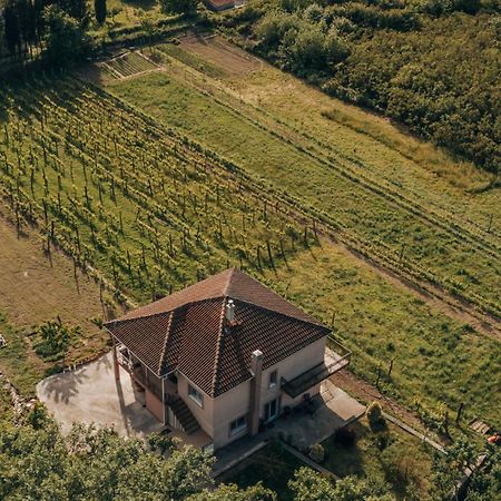 Apartment Majstorina Вирпазар Екстериор снимка